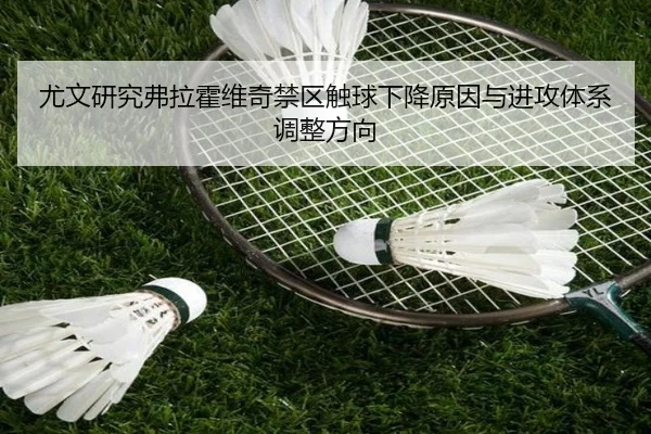 尤文研究弗拉霍维奇禁区触球下降原因与进攻体系调整方向
