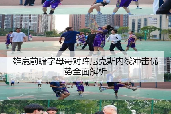 雄鹿前瞻字母哥对阵尼克斯内线冲击优势全面解析